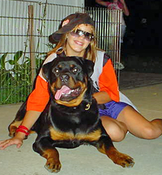 Companion Rottweiler