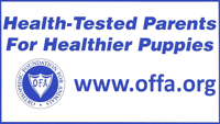 OFA - Orthopedic Foundation for Animals